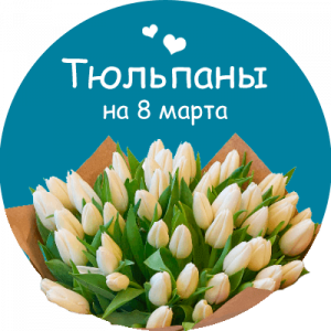 Купить тюльпаны в Дорогобуже